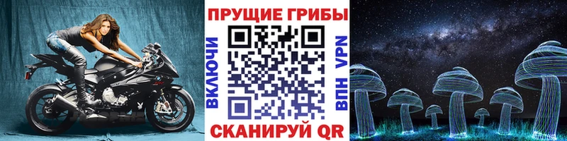 Галлюциногенные грибы ЛСД Купить где Велиж